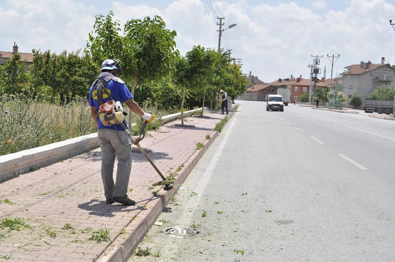 Karatay’da Yabani Ot Temizliği