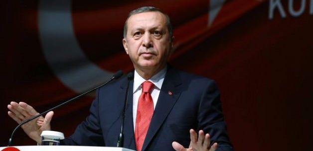 Erdoğan: Hükümet benimle her konuyu görüşmüyor